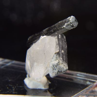 Турмалин на кварце. Пакистан. 31*18*14мм