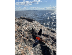 Духи НОТА: ЗАПРЕТНАЯ ЗОНА 3,5 мл