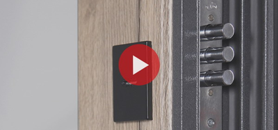 Стальная дверь    Беркут с зеркалом