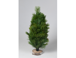 Композиции