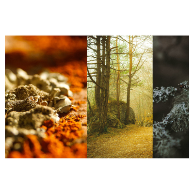 MONSIEUR PIERRE GUILLAUME