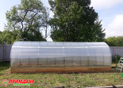 Теплица «Дачница Усиленная» 3*8 м. Сотовый поликарбонат 6 мм.