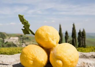 Лимон (Citrus limon) Сицилия, 5 мл - 100% натуральное эфирное масло