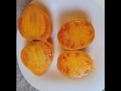 Томат Пастельное оранжевое сердце (Pastel Orange Heart)