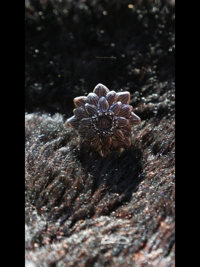 Волшебное кольцо &quot;Кофейный Цветок. Тёплое утро&quot;