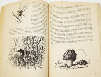 Формозов А. Н. Среди природы. М.: Изд-во Московского ун-та. 1985г.