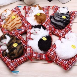 Плюшевые коты