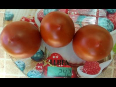 Томат Маленькое черное сердце