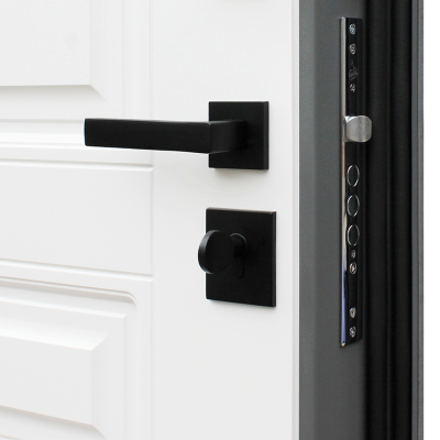 Стальная дверь   Лира