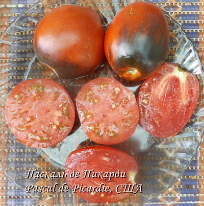 Томат Паскаль из  Пикардии (Pascal de Picardie), США