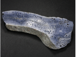 Коралл голубой Акори, Австралия (64*28*10 мм, 20 г) №37704