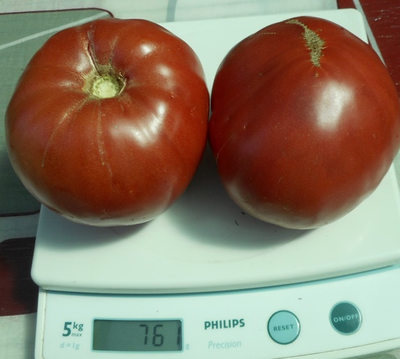 Томат Хелен немецкий (Helen's German)