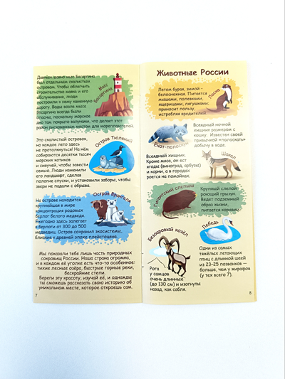 Фигурный пазл "Карта России"