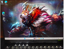 ASUS TUF Gaming FA401UU-RG013 ( 14.0 WQXGA IPS 165Hz AMD RYZEN 7 8845HS RTX4050 (6Gb) 16Gb 512SSD )
