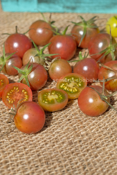 Томат черри Икра Черная, 10 шт
