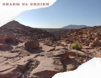 5 in 1 - DAHAB CANYON + BLUE HOLE + CAMEL RIDE + DAHAB + QUAD BIKING
