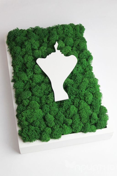 ЖИВАЯ ЭКО-КАРТИНА 1030