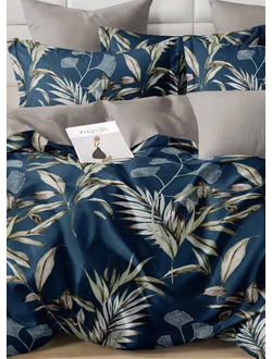 Постельное белье Cleo евро поплин 200х220х1 220х240х1 50х70х2 70х70х2 31/013-PCE