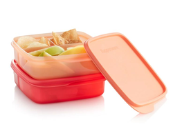 Контейнеры «Хранители» Tupperware (400 мл), 2 шт.