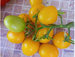 Томат Де Барао золотой