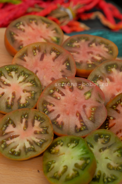 Томат Dwarf Chocolate Champion (Гном Шоколадный Чемпион), 10 шт