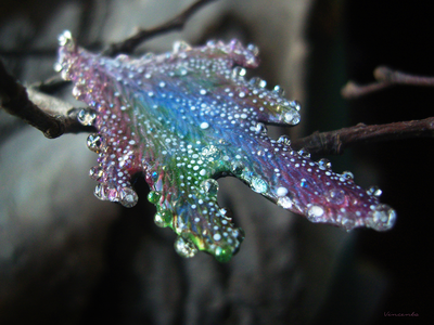 "Крылышки феи Рассветного сада", крупные серьги с капельками