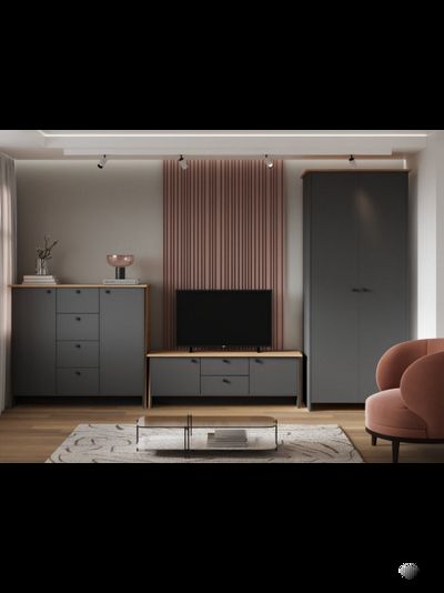 Теодора Тумба 2Д5Я ПВШ Графит/Дуб крафт