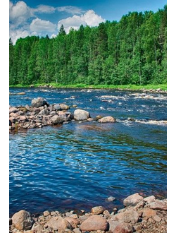 Сплав по реке Шуя