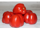 Fragola Rosata (Розовая клубника, Италия)