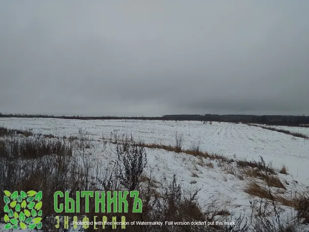 Фермерское хозяйство в Подмосковье