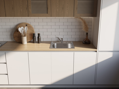 Мойка OMOIKIRI SARU 48 IN