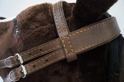 Узда кожаная