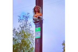 мадам наблюдатель