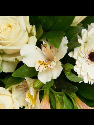 Белый букет