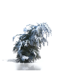 Billboards Ель зимняя_01