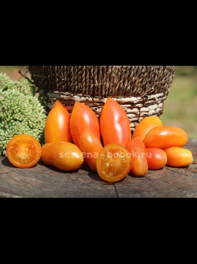 Томат Banana Lemon Singapore (Бананово-лимонный Сингапур), 10 шт.