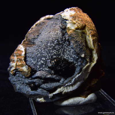 Керченит и силомелан в полости морской ракушки. 61*57*26мм