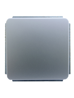Выключатель одноклавишный GUSI Electric EXTRA Matte Silver С1B1-004