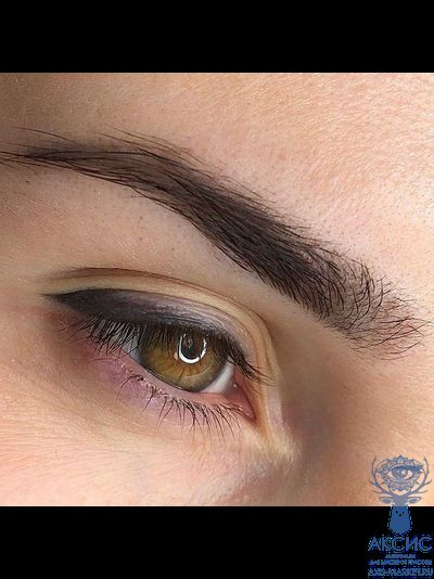 Пигмент для бровей Dark brown (Брюнет), 6 мл, AS-Company by Alina Shakhova