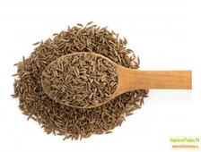 Зира (Кумин), 100 г, производство Индия; Jeera (Cumin, India),100 g,