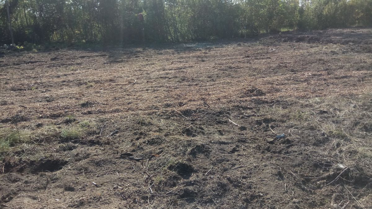 Расчистка участка в Плетнихе под стоительство