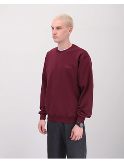 Толстовка Оверсайз Anteater Crewneck Бордовая