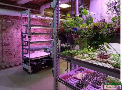 тележка тролль купить,тролли тележки производитель,тележка для цветов купить,тролли тележки б/у