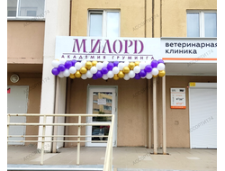 Гирлянда из воздушных шаров №2