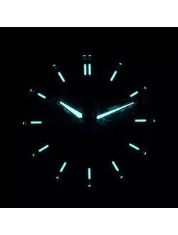 Наручные часы Citizen BL8160-07X