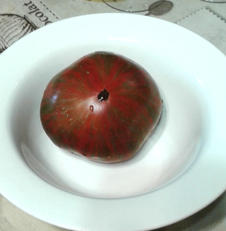 Семена томата Шоколадная молния Гном