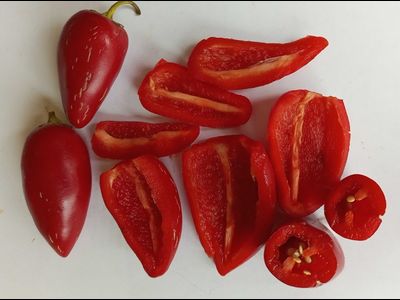 Перец острый Jalapeno Xalapa