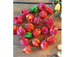 Перец острый Aji Rosita Rojo