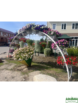 Арки садовые,арки в аренду,арки металлические,арка садовая купить,растения для садовой арки