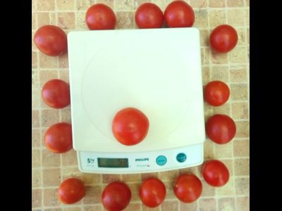 Томат Splash of kream (Irish cream) Ирландия